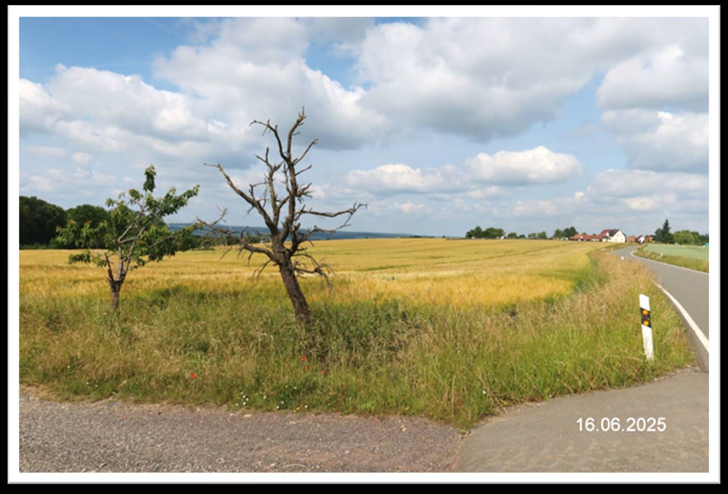 land- und forstwirtschaftlich genutztes Grundstück in Gera - Bild 1