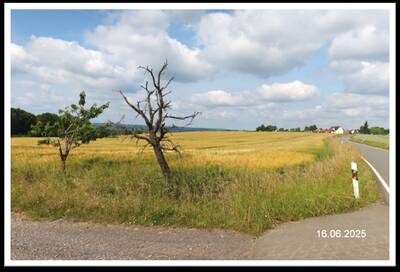 land- und forstwirtschaftlich genutztes Grundstück in Roben, 07554 Gera - Bild 1