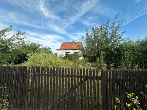 Einfamilienhaus in Erfurt - Bild 4