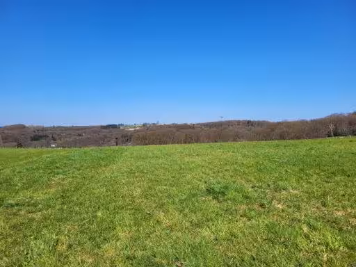 land- und forstwirtschaftlich genutztes Grundstück in Burscheid - Bild 3