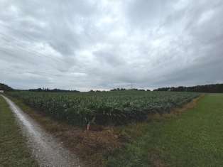unbebautes Grundstück in Werneuchen - Bild 3