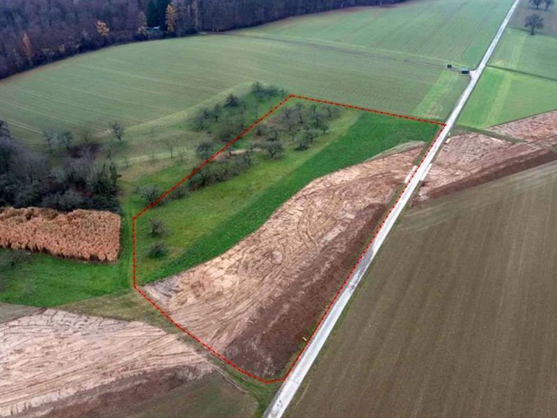 Landwirtschaftsfläche in Meckesheim - Bild 2