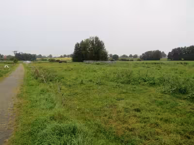 Landwirtschaftsfläche in , 17166 Dahmen - Bild 2