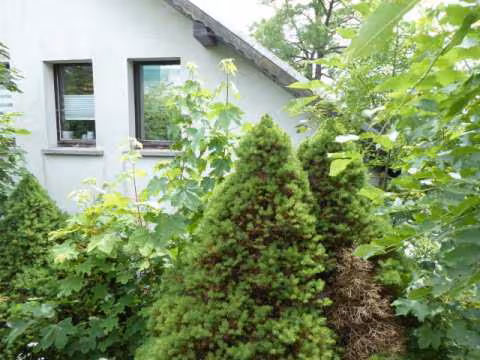 Einfamilienhaus in Cursdorf - Bild 6