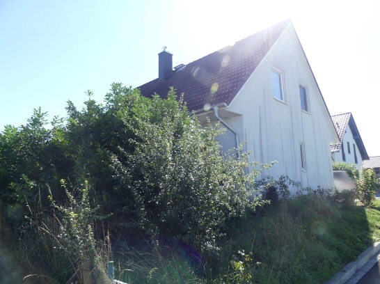 Einfamilienhaus, Carport in Dollendorf - Bild 1