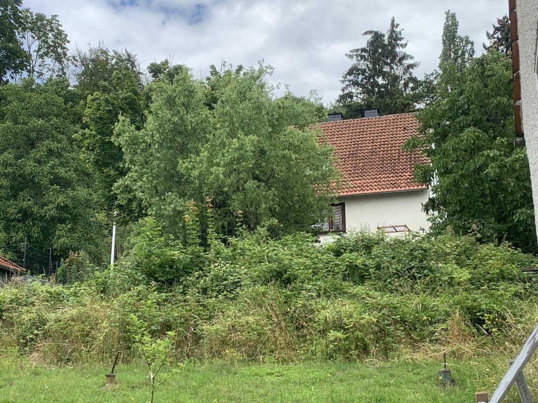 unbebautes Grundstück in Einbeck - Bild 1