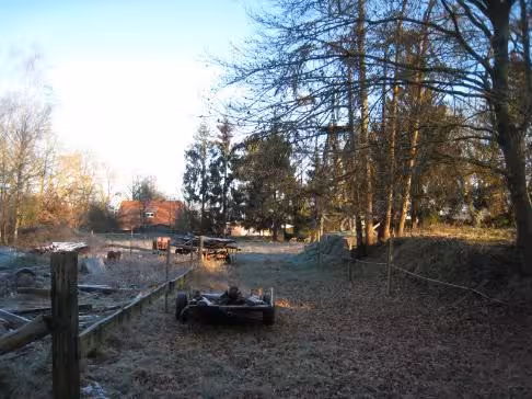 Sonstiges in Friedeburg - Bild 8