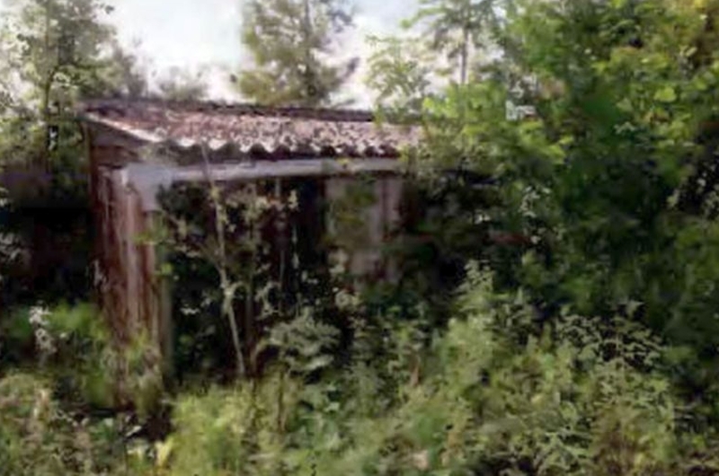 Wohnhaus mit diversen Nebengebäuden in Usedom - Bild 4