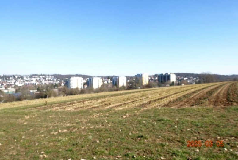 Landwirtschaftsfläche (Bauerwartungsland) in Böblingen - Bild 1