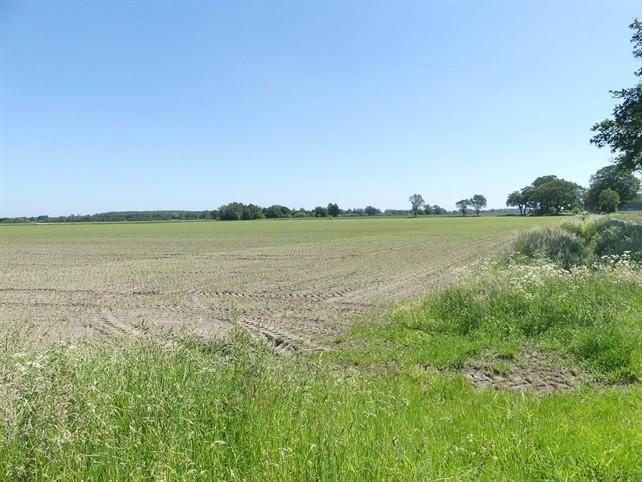 land- und forstwirtschaftlich genutztes Grundstück in Drebber - Bild 1