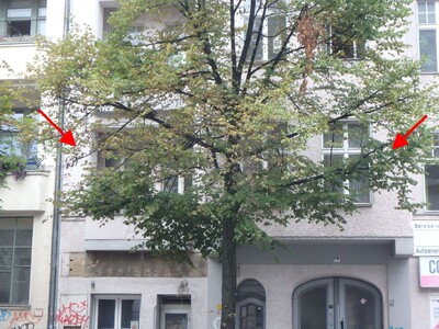 Eigentumswohnung (3 bis 4 Zimmer) in Leibnizstraße 70, 10625 Berlin - Bild 2