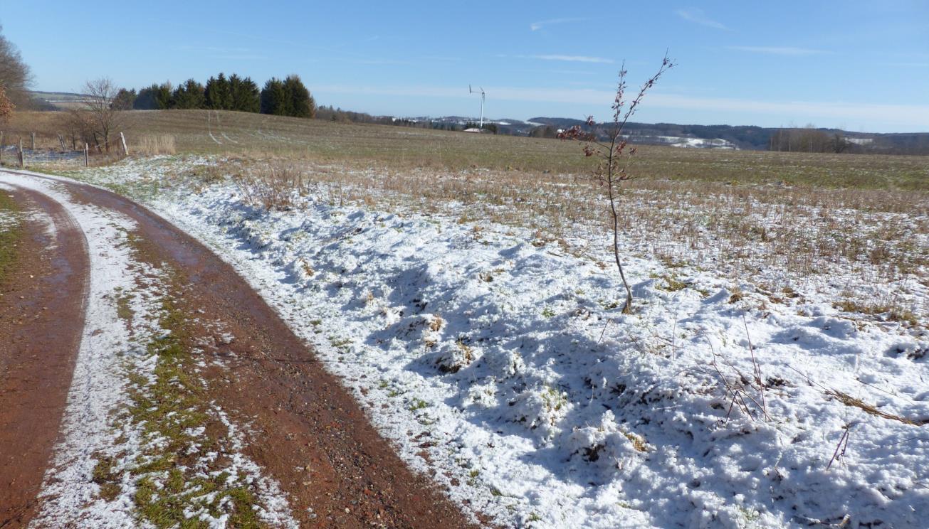unbebautes Grundstück in Lengenfeld - Bild 3