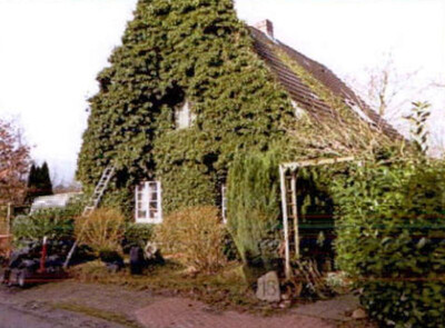 Einfamilienhaus mit Nebenanlagen in Dorfstraße 18, 25560 Kaisborstel - Bild 2