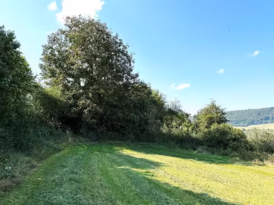 Waldfläche in Am Waltingerweg, 85137 Walting, Pfalzpaint - Bild 2