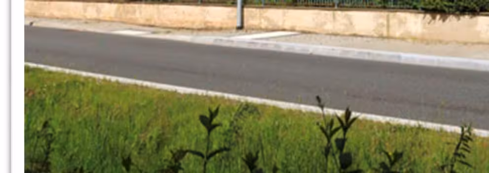 Mehrfamilienhaus in Schöna - Bild 3