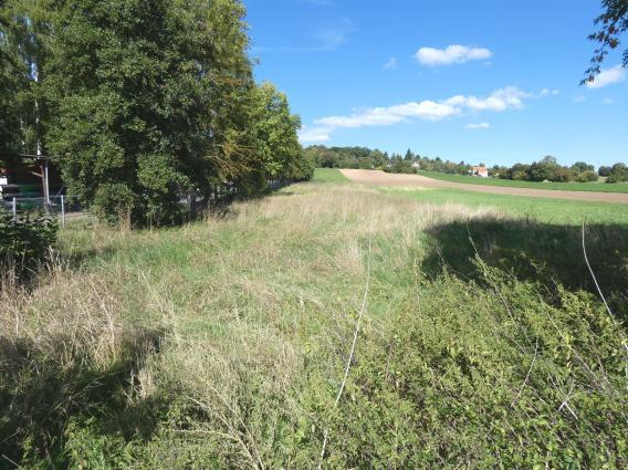 land- und forstwirtschaftlich genutztes Grundstück in Sangerhausen - Bild 1