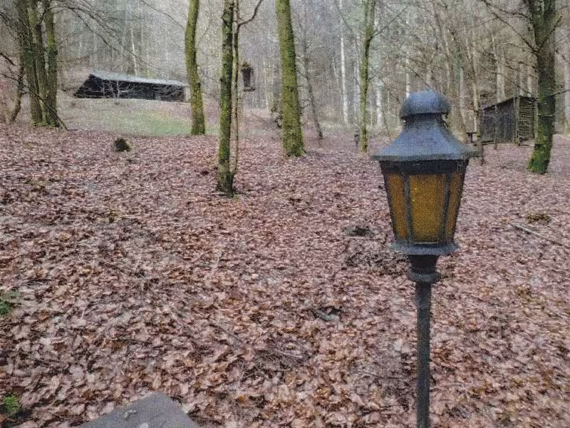 Freizeitgrundstück mit Blockhütte in Eiterbach - Bild 3