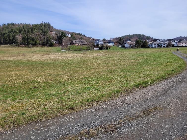 land- und forstwirtschaftlich genutztes Grundstück in Steffenberg - Bild 3