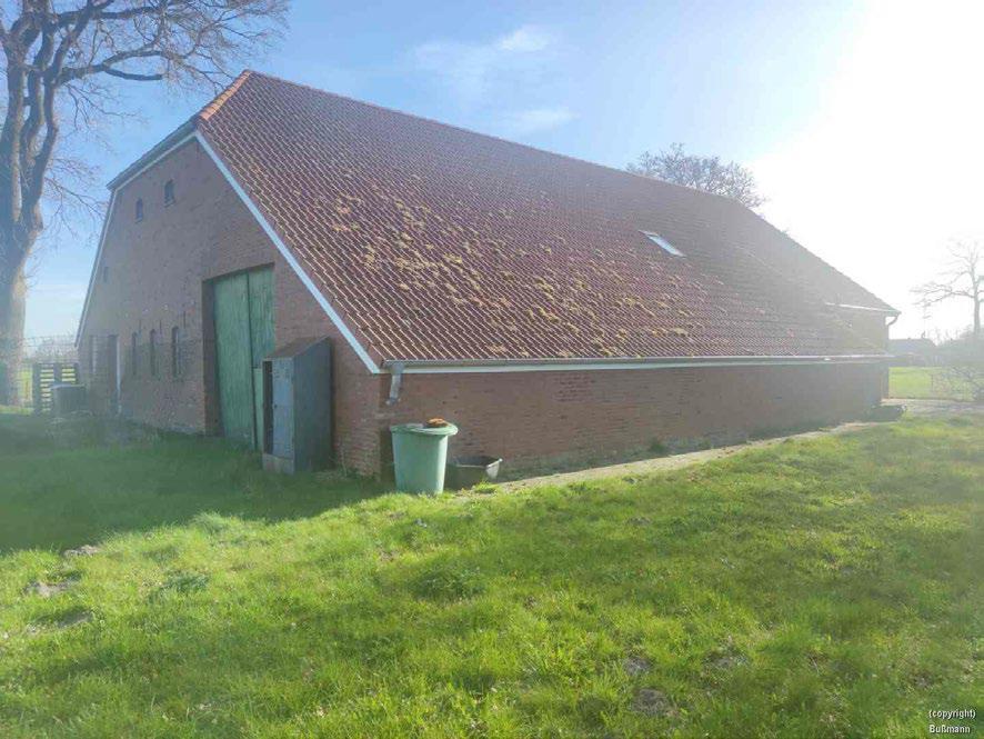 Einfamilienhaus in Rhede (Ems) - Bild 3