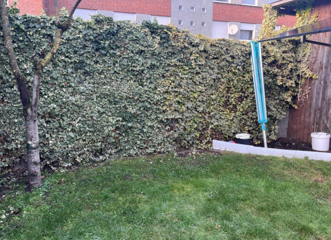 Zweifamilienhaus, Kfz-Stellplatz, Garage, Doppelhaushälfte, Carport nicht legitimiert in Vreden - Bild 4