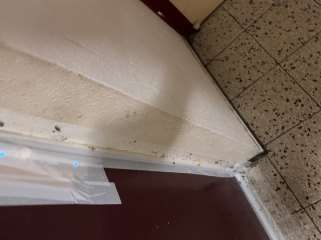 Eigentumswohnung in Duisburg - Bild 4