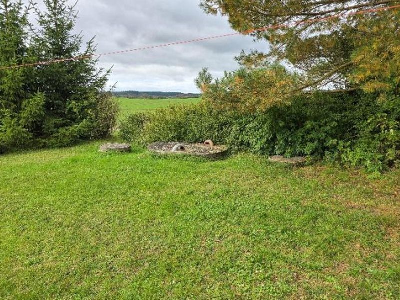 Einfamilien-Doppelhaushälfte mit Nebengebäude in Lalendorf - Bild 4