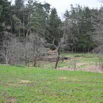 land- und forstwirtschaftlich genutztes Grundstück in Kettenhöfstetten, 00000 Kettenhöfstetten - Bild 1