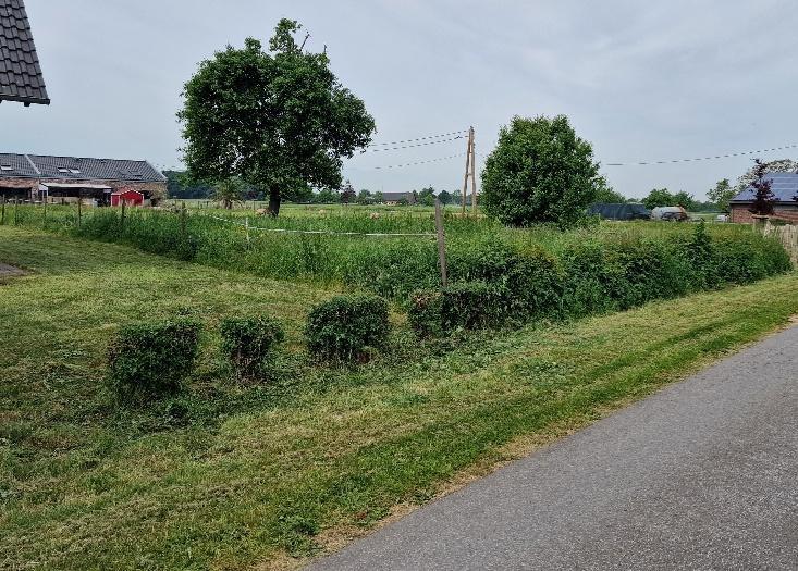 unbebautes Grundstück in Hamminkeln - Bild 2