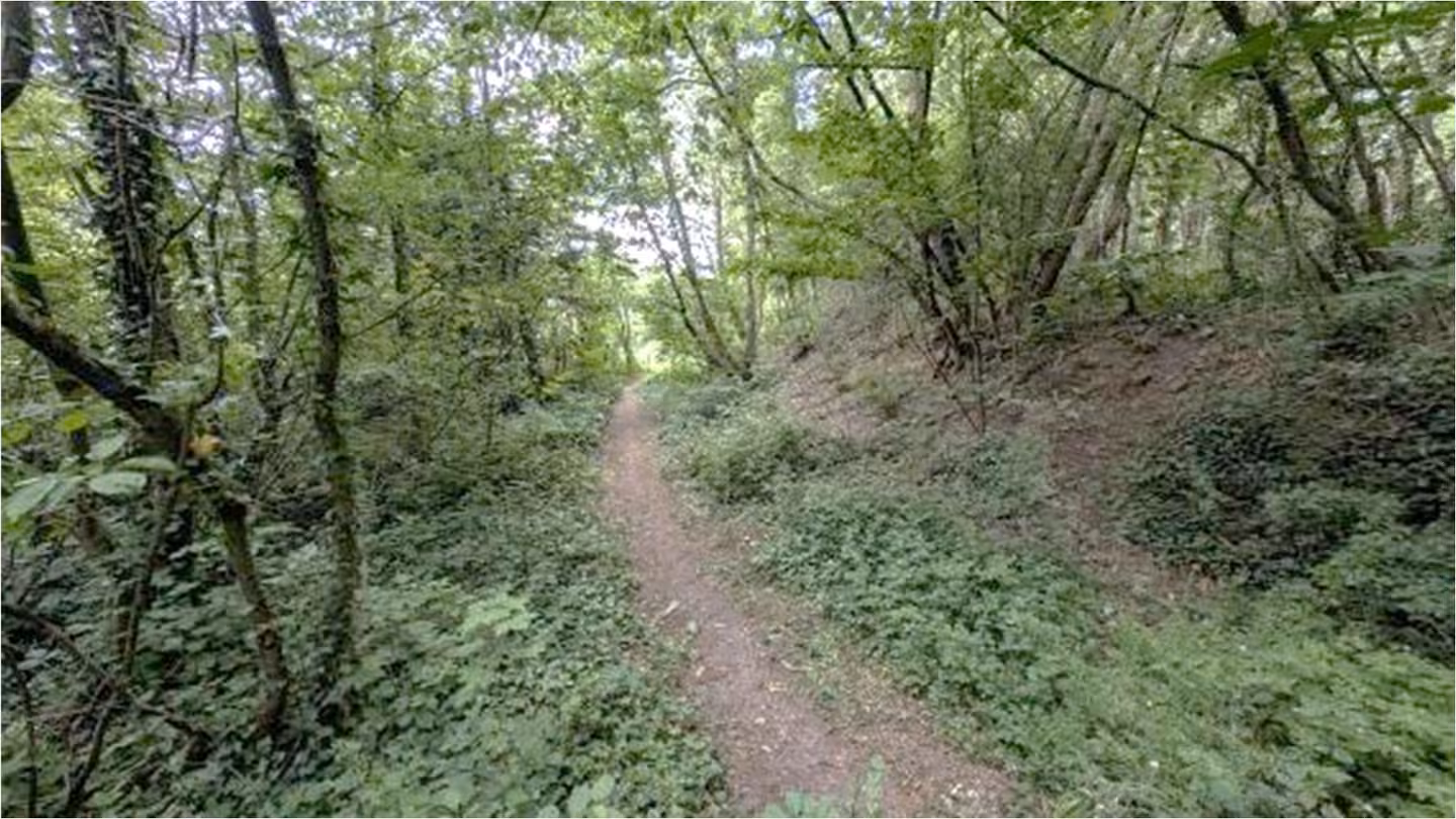 unbebautes Grundstück in Bad Münstereifel - Bild 4