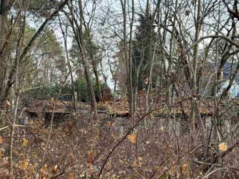 Bungalowruine in Königs Wusterhausen - Bild 1