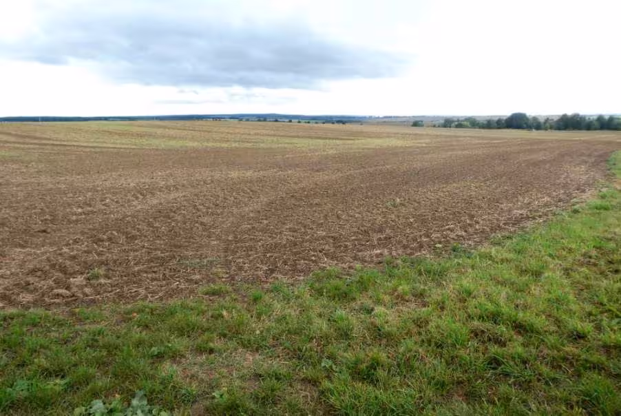 land- und forstwirtschaftlich genutztes Grundstück in Erfurt - Bild 4