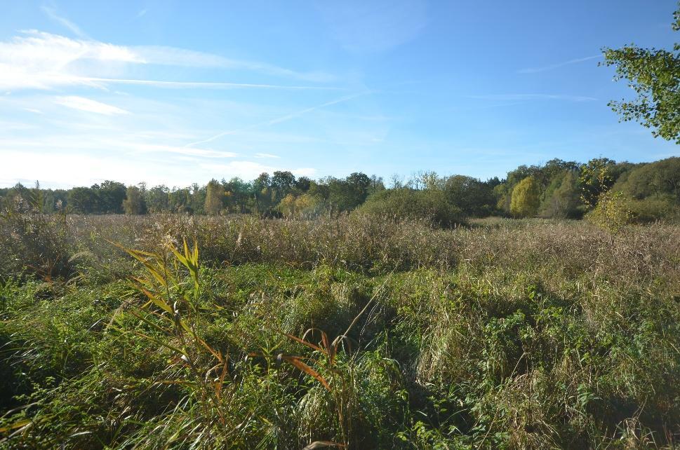 Sonstiges, unbebautes Grundstück in Fehrbellin - Bild 1