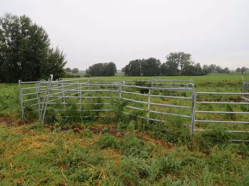 Landwirtschaftsfläche in Dahmen - Bild 3