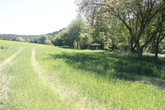 Waldfläche, Gebäude- und Freifläche, Landwirtschaftsfläche in Maxhütte-Haidhof - Bild 1