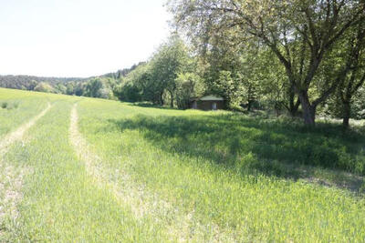 Waldfläche, Gebäude- und Freifläche, Landwirtschaftsfläche in Brunnheim  3, 93142 Maxhütte-Haidhof - Bild 1