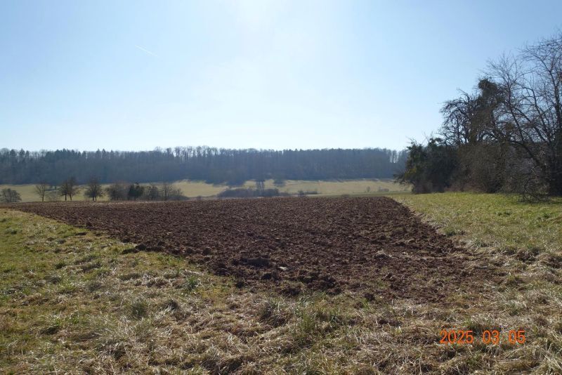 Landwirtschaftsfläche in Böblingen - Bild 1