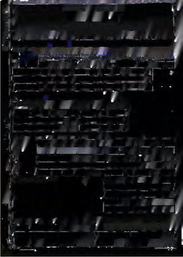 Grünland in Schmitten - Bild 1