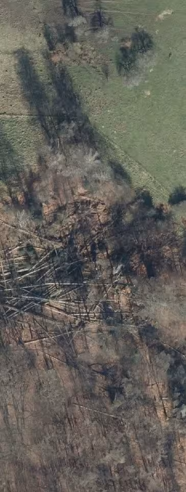 Einfamilienhaus, Stallgebäude in Iserlohn - Bild 4