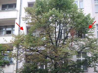 Eigentumswohnung (3 bis 4 Zimmer) in Leibnizstraße 70, 10625 Berlin - Bild 1