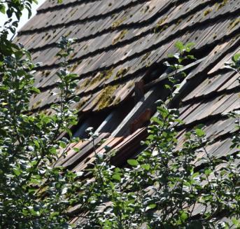 2 Wohnhäuser und Nebengebäude in Bischbrunn - Bild 4