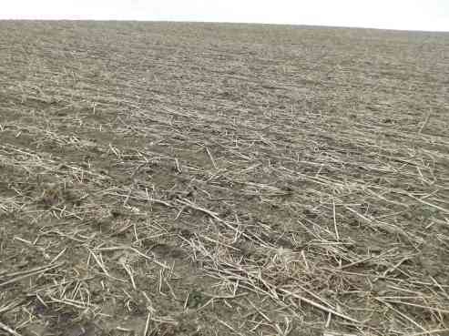 land- und forstwirtschaftlich genutztes Grundstück in Allershausen - Bild 1