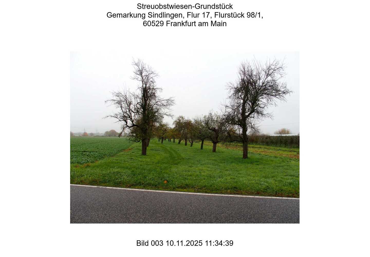 land- und forstwirtschaftlich genutztes Grundstück in Frankfurt am Main - Bild 3