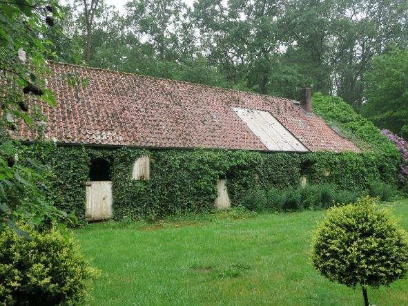 Sonstiges in Schneverdingen - Bild 4