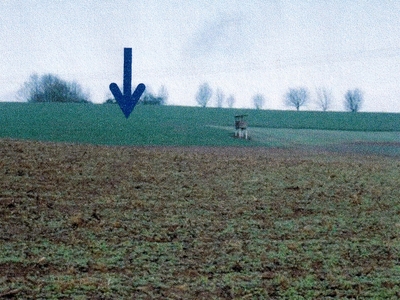 Ackerland in , 69168 Wiesloch - Schatthausen - Bild 1