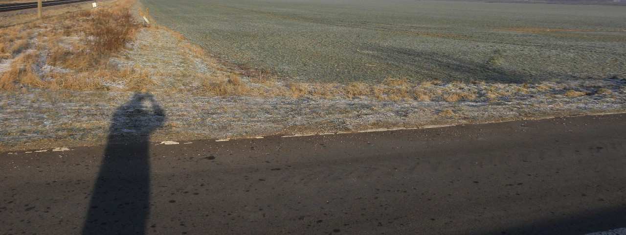 land- und forstwirtschaftlich genutztes Grundstück in null - Bild 3