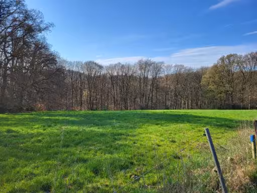 land- und forstwirtschaftlich genutztes Grundstück, land- und forstwirtschaftlich genutztes Grundstück, land- und forstwirtschaftlich genutztes Grundstück, land- und forstwirtschaftlich genutztes Grundstück in Burscheid - Bild 1