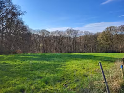 land- und forstwirtschaftlich genutztes Grundstück, land- und forstwirtschaftlich genutztes Grundstück, land- und forstwirtschaftlich genutztes Grundstück, land- und forstwirtschaftlich genutztes Grundstück in Im Schleifkotten, 51399 Burscheid - Bild 1