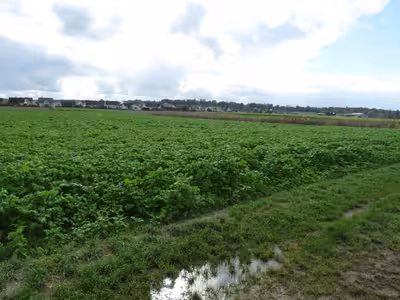 land- und forstwirtschaftlich genutztes Grundstück in im Rittersloch und Heerweg, 64850 Schaafheim - Bild 6