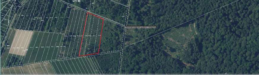 landwirtschaftliche Flächen mit  Fichten-/'Tannenbesatz in Usingen - Bild 1