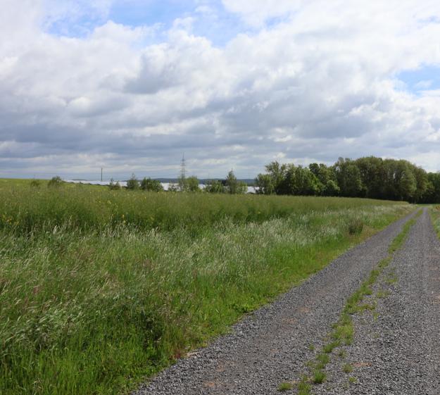 Landwirtschaftsfläche, Verkehrsfläche, Wasserfläche in Marktheidenfeld - Bild 1